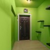 Apartament 3 camere Obor, ALMO 3